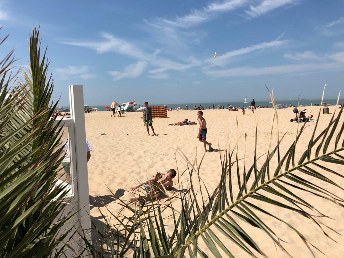 Panoramic View On Beach, Ships, Sea - Place To Be Ostende Exteriér fotografie
